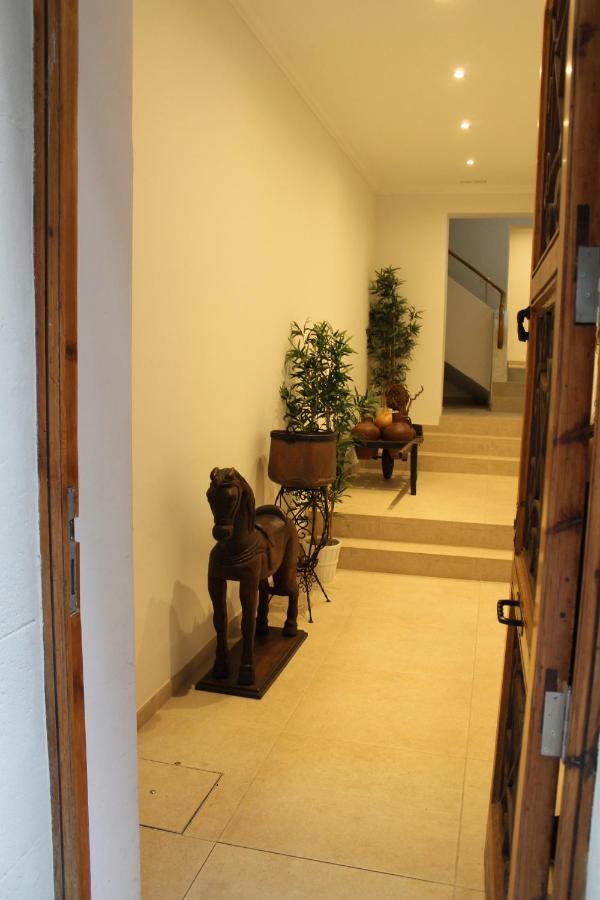 Labradores 13 Alicante Exterior photo